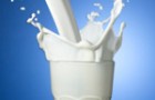 Cow Milk – the Miracle food