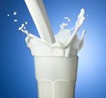 Cow’s milk a panacea